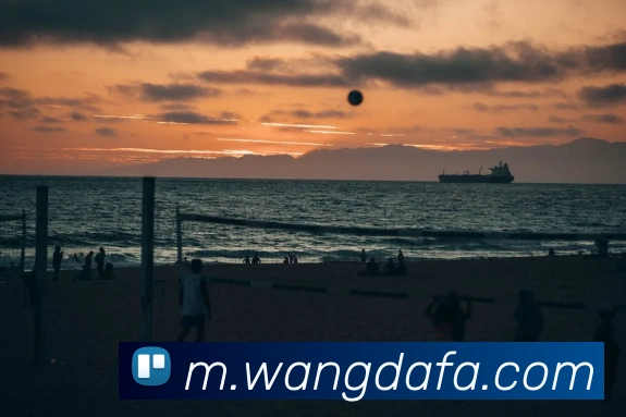 大发彩票发展历程